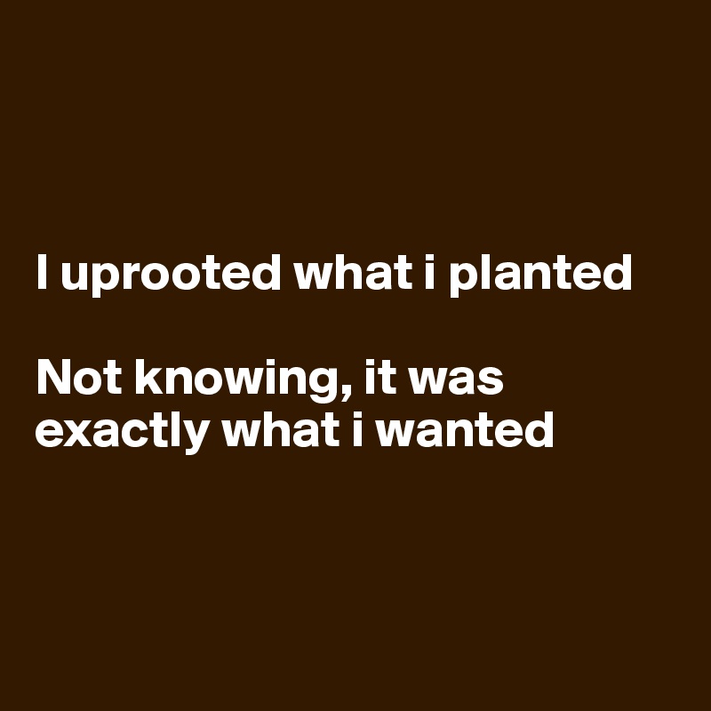 



I uprooted what i planted
 
Not knowing, it was exactly what i wanted



