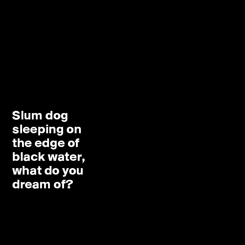 






Slum dog 
sleeping on 
the edge of 
black water, 
what do you 
dream of? 


