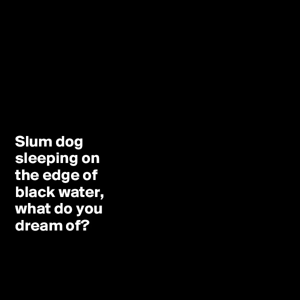 






Slum dog 
sleeping on 
the edge of 
black water, 
what do you 
dream of? 


