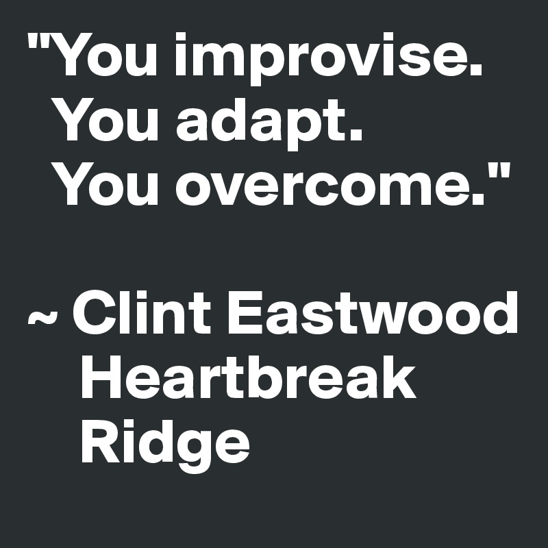 "You improvise.
  You adapt.
  You overcome."

~ Clint Eastwood
    Heartbreak    
    Ridge