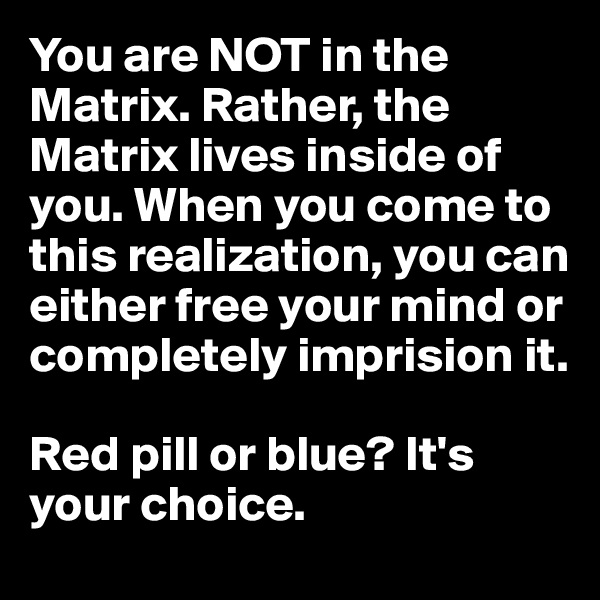 You are NOT in the Matrix. Rather, the Matrix lives inside of you. When you come to this realization, you can either free your mind or completely imprision it. 

Red pill or blue? It's your choice.