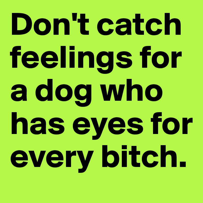 Don't catch feelings for a dog who has eyes for every bitch.