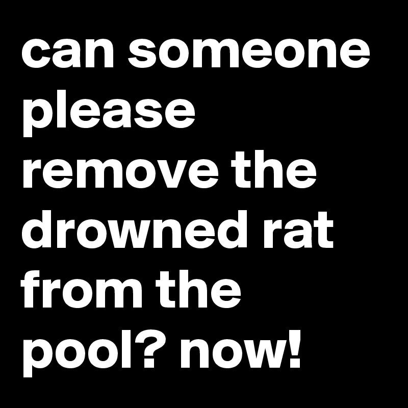 can someone please remove the drowned rat from the pool? now!