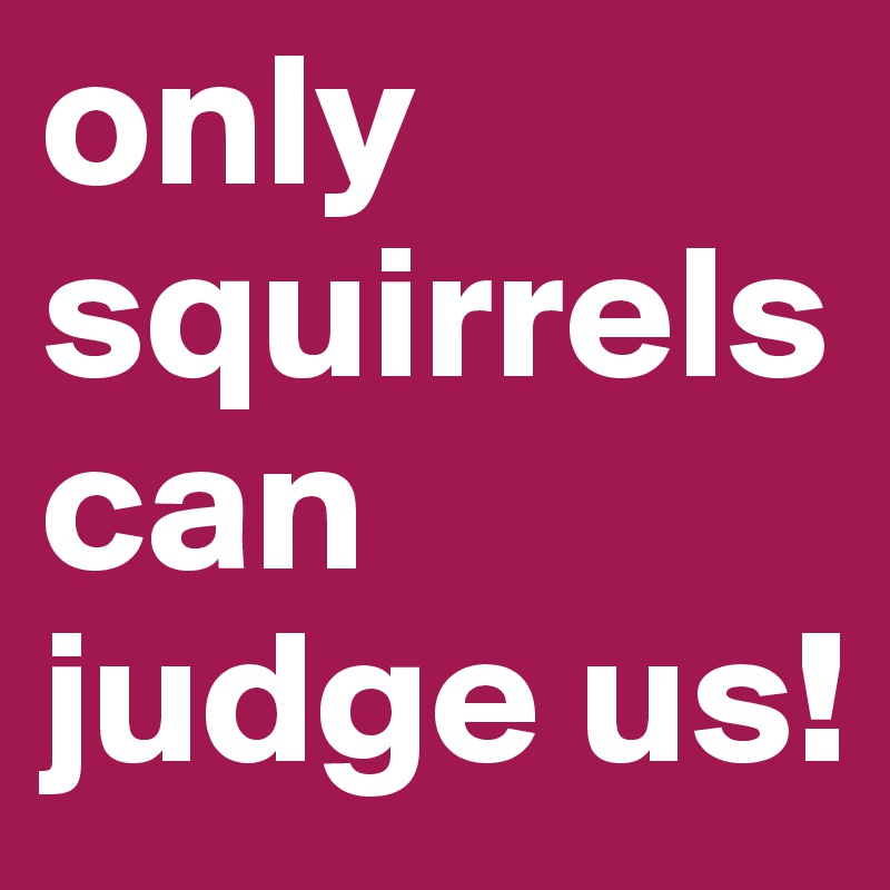 only squirrels can judge us!