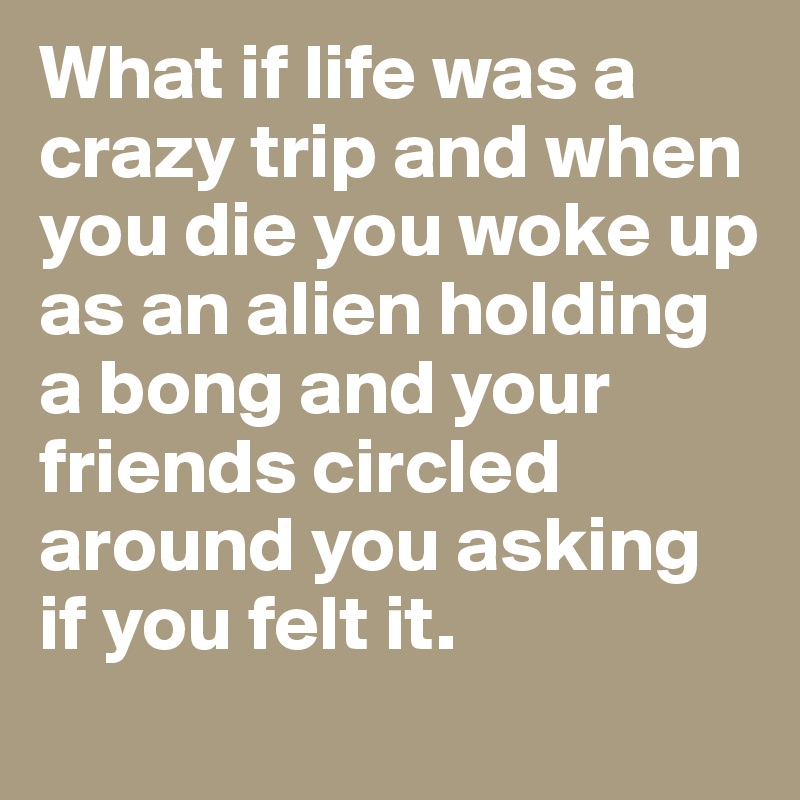 What if life was a crazy trip and when you die you woke up as an alien holding a bong and your friends circled around you asking if you felt it.
