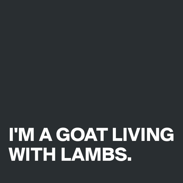 





I'M A GOAT LIVING WITH LAMBS.