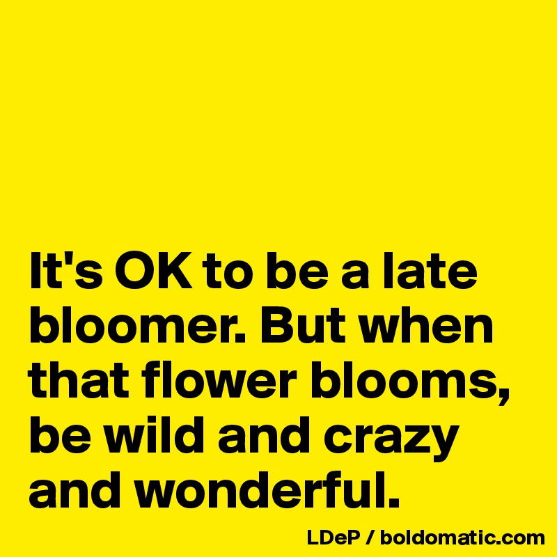 



It's OK to be a late bloomer. But when that flower blooms, be wild and crazy and wonderful. 