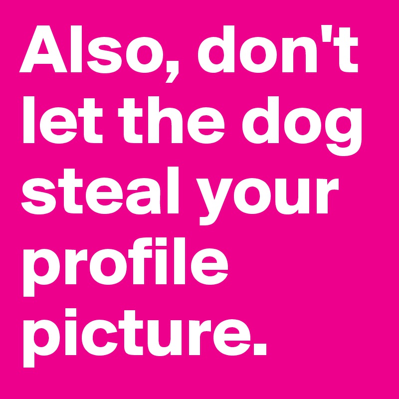 Also, don't let the dog steal your profile picture. 