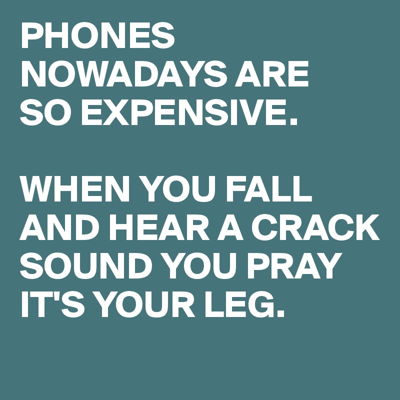 PHONES NOWADAYS ARE 
SO EXPENSIVE.

WHEN YOU FALL AND HEAR A CRACK SOUND YOU PRAY IT'S YOUR LEG.
