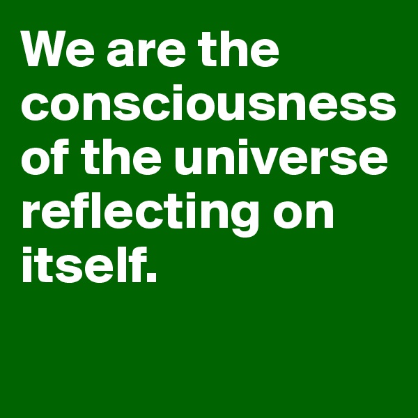 We are the consciousness of the universe reflecting on itself. 
