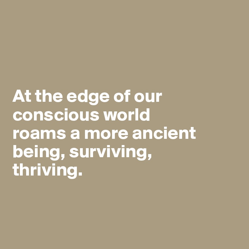 



At the edge of our conscious world
roams a more ancient
being, surviving, 
thriving.


