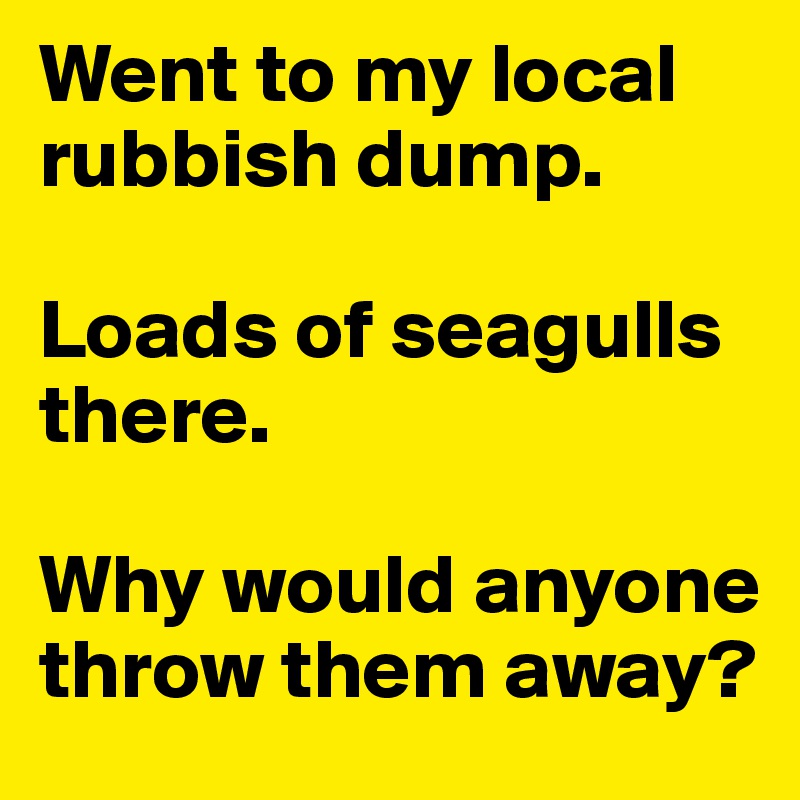 Went to my local rubbish dump.

Loads of seagulls there.

Why would anyone throw them away?