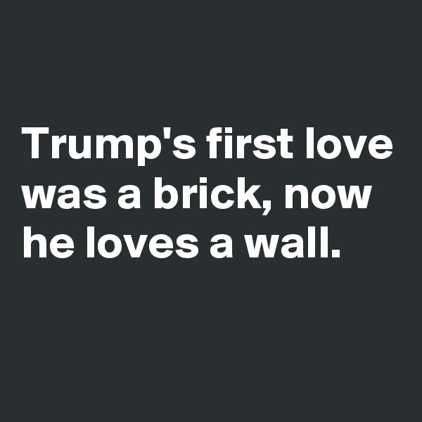 

Trump's first love was a brick, now he loves a wall.

