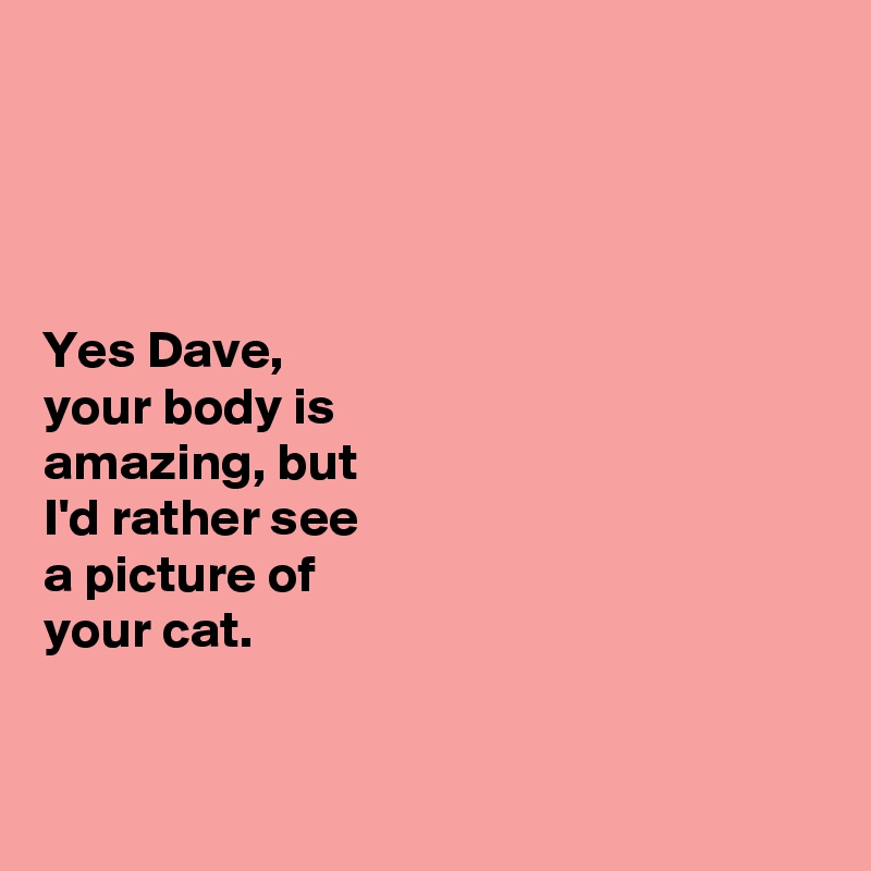 




Yes Dave, 
your body is 
amazing, but 
I'd rather see 
a picture of 
your cat. 


