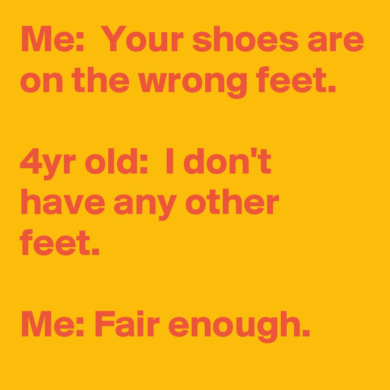 Me:  Your shoes are on the wrong feet.

4yr old:  I don't have any other feet.

Me: Fair enough.