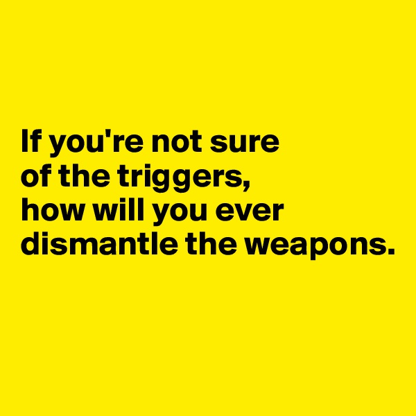 


If you're not sure 
of the triggers, 
how will you ever dismantle the weapons.


