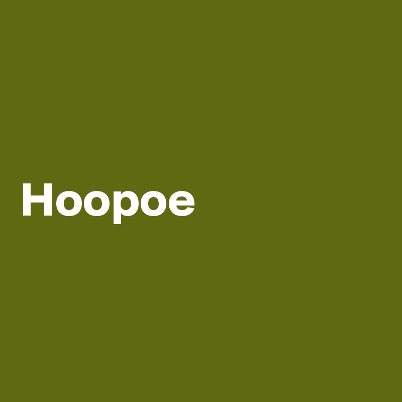 


Hoopoe


