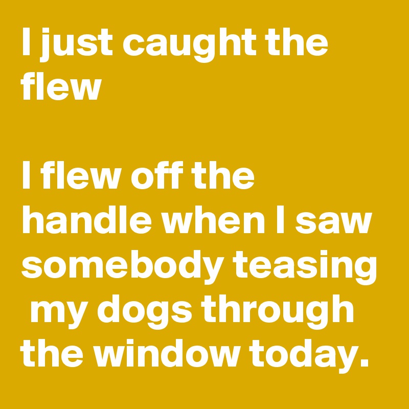 I just caught the flew

I flew off the handle when I saw somebody teasing  my dogs through the window today.
