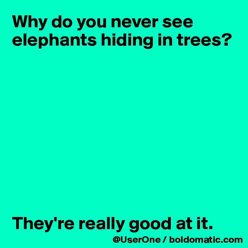 Why do you never see elephants hiding in trees?









They're really good at it.