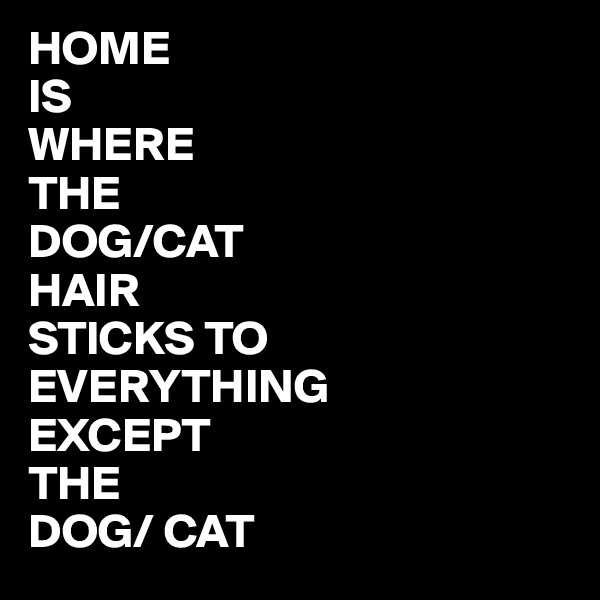 HOME
IS
WHERE
THE
DOG/CAT
HAIR 
STICKS TO EVERYTHING
EXCEPT
THE 
DOG/ CAT 
