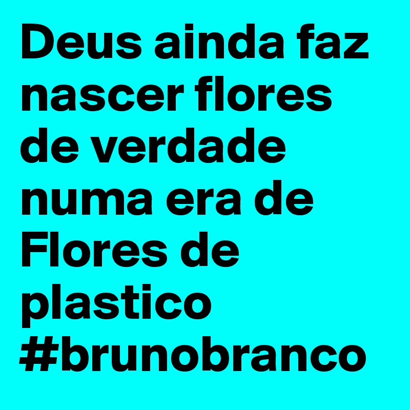 Deus ainda faz nascer flores de verdade numa era de Flores de plastico 
#brunobranco