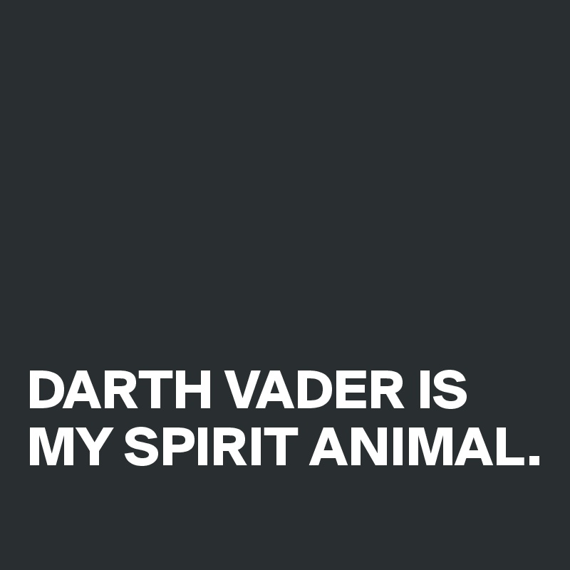 





DARTH VADER IS MY SPIRIT ANIMAL.