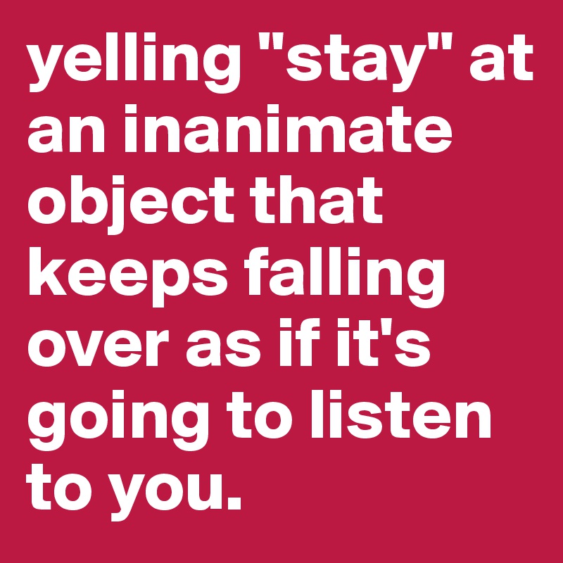 yelling "stay" at an inanimate object that keeps falling over as if it's going to listen to you.