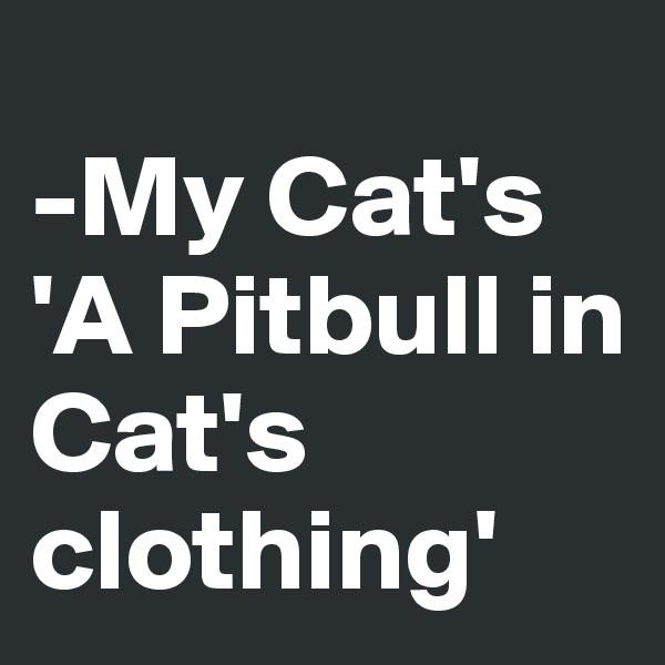 
-My Cat's 'A Pitbull in Cat's clothing'