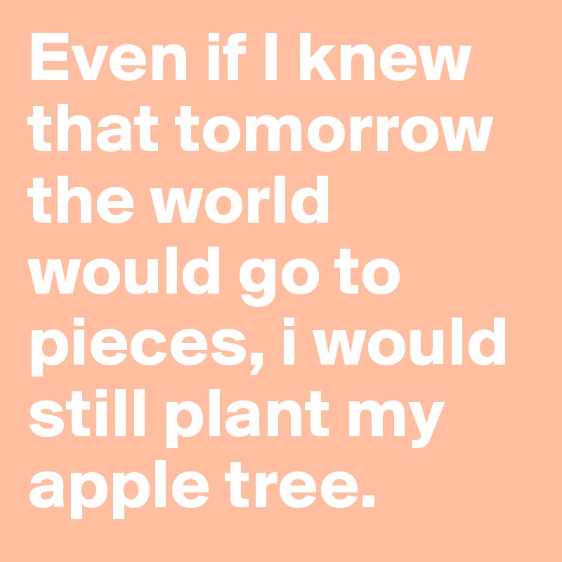 Even if I knew that tomorrow the world would go to pieces, i would still plant my 
apple tree.