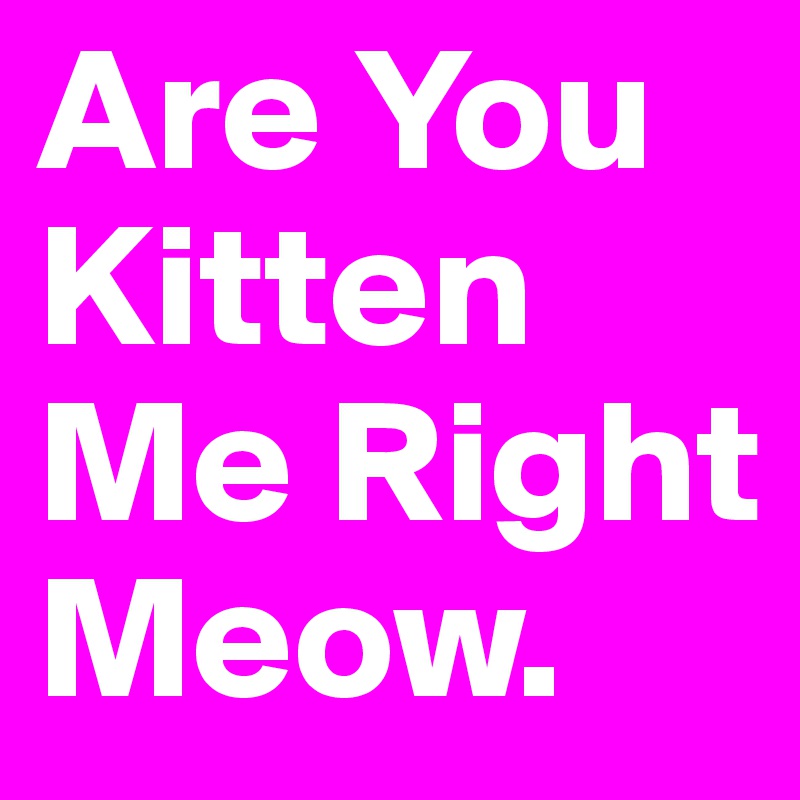 Are You Kitten Me Right Meow. 
