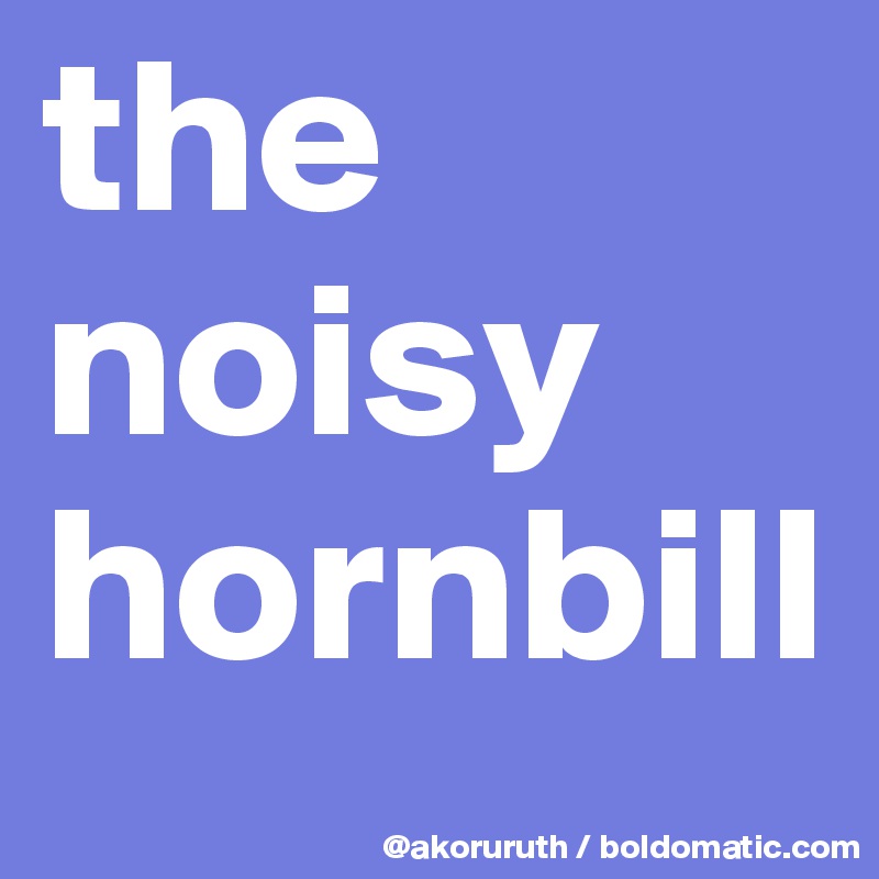the noisy hornbill