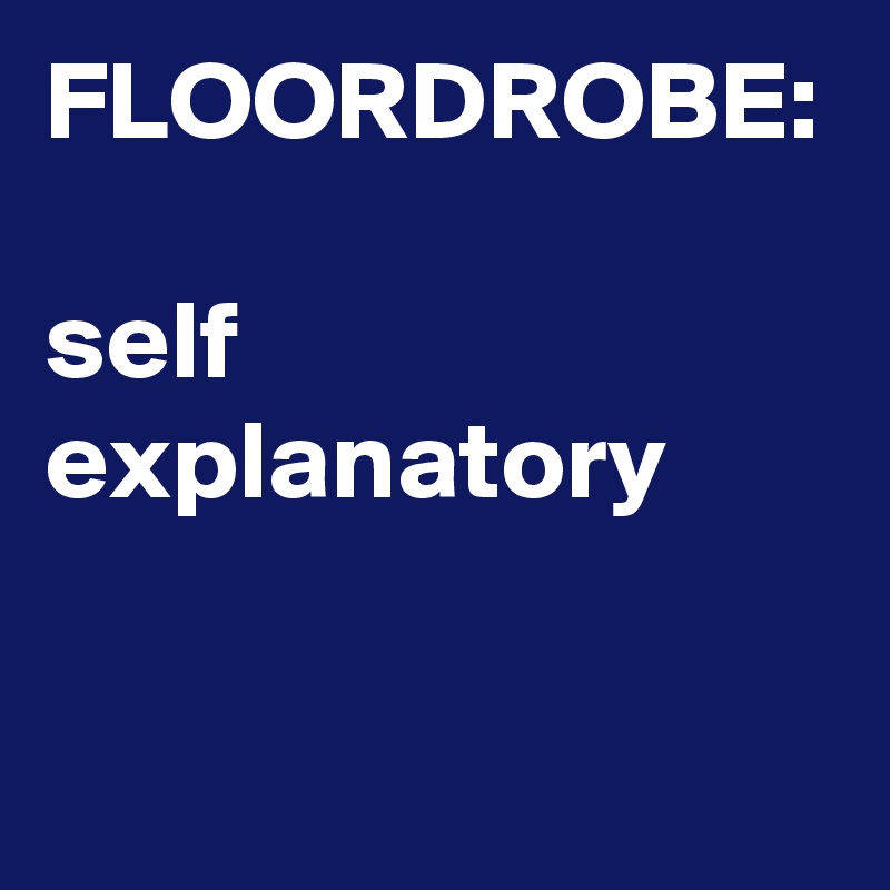 FLOORDROBE:

self explanatory 