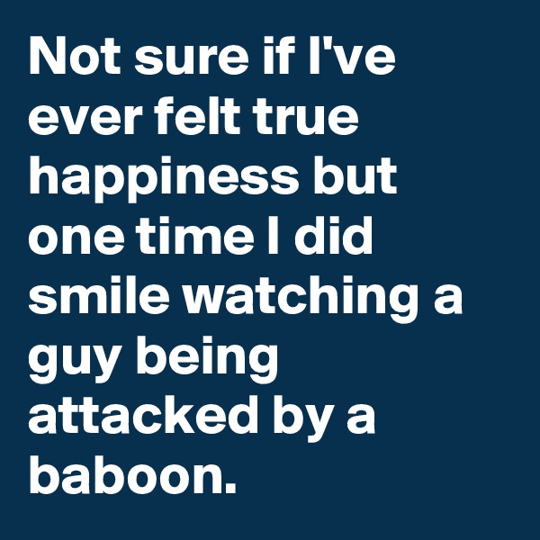 Not sure if I've ever felt true happiness but one time I did smile watching a guy being attacked by a baboon.