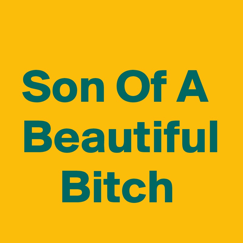 
 Son Of A   Beautiful
     Bitch 