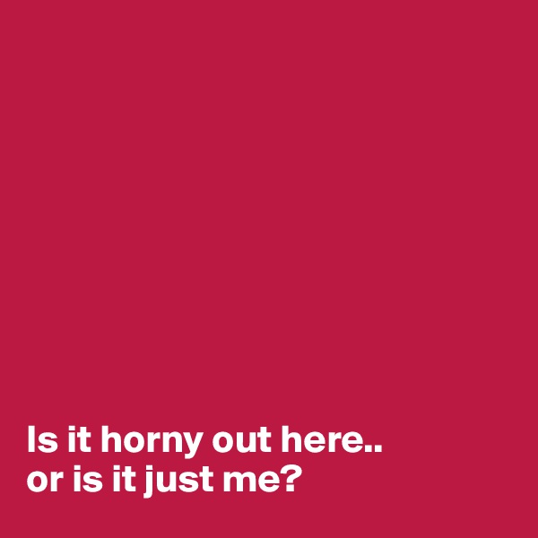 









Is it horny out here..
or is it just me?