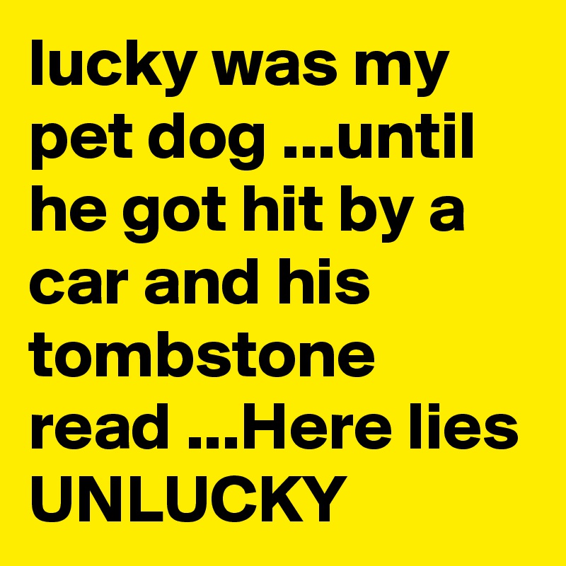 lucky was my pet dog ...until he got hit by a car and his tombstone read ...Here lies 
UNLUCKY