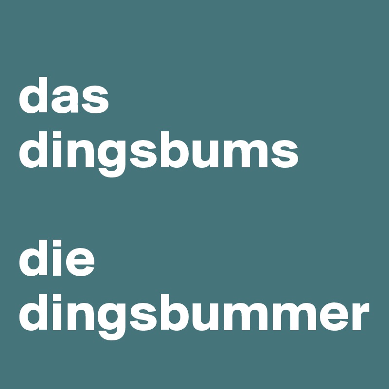 
das dingsbums

die dingsbummer
