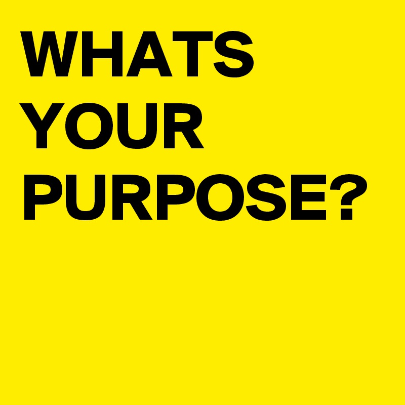 WHATS
YOUR PURPOSE? 