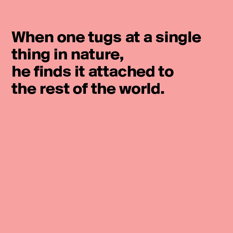 
When one tugs at a single thing in nature, 
he finds it attached to
the rest of the world. 







