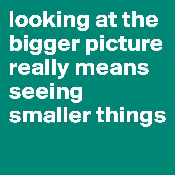 looking at the bigger picture really means seeing smaller things
