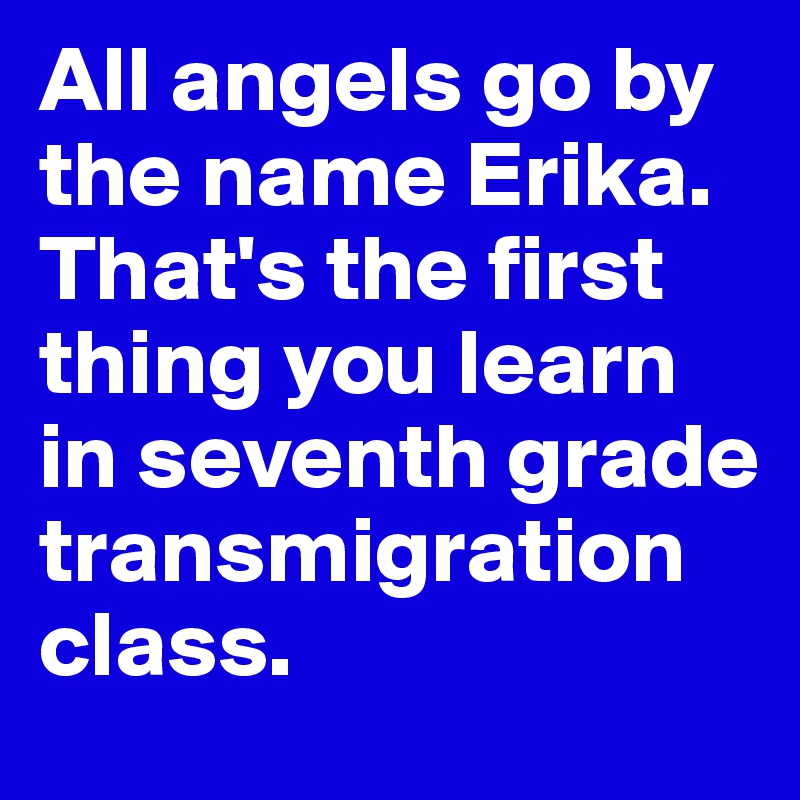 All angels go by the name Erika. That's the first thing you learn in seventh grade transmigration class.