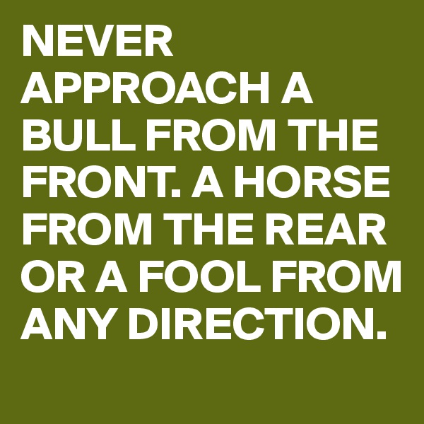 NEVER APPROACH A BULL FROM THE FRONT. A HORSE FROM THE REAR OR A FOOL FROM ANY DIRECTION. 