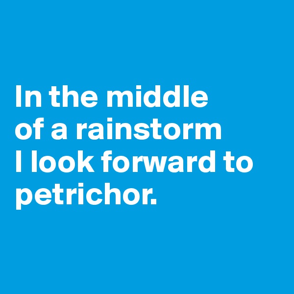 

In the middle 
of a rainstorm 
I look forward to petrichor.

