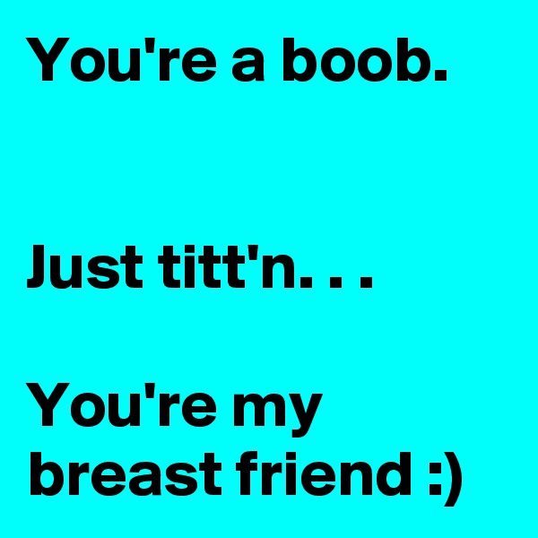 You're a boob.


Just titt'n. . .

You're my breast friend :)