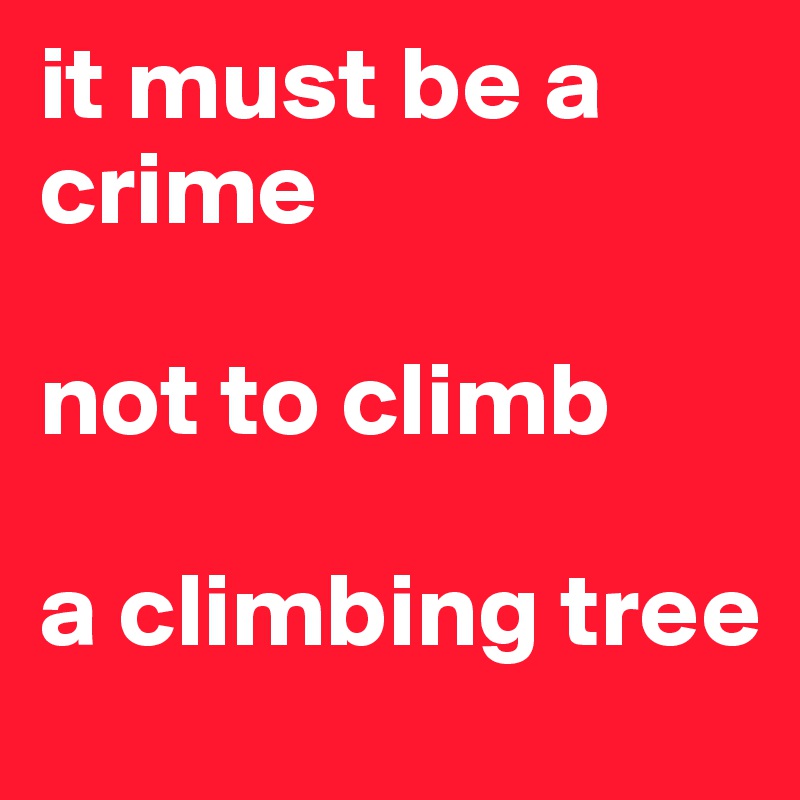 it must be a crime

not to climb

a climbing tree