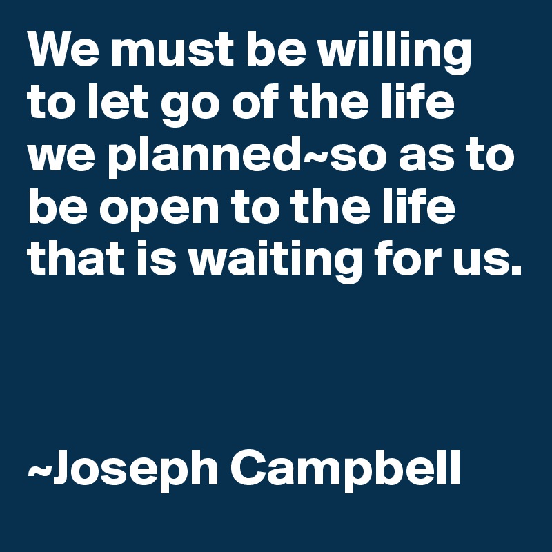We must be willing to let go of the life we planned~so as to be open to the life that is waiting for us.



~Joseph Campbell