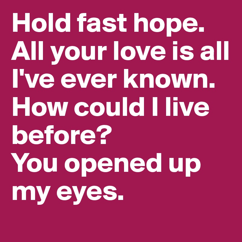 Hold fast hope. 
All your love is all I've ever known. 
How could I live before?
You opened up my eyes. 