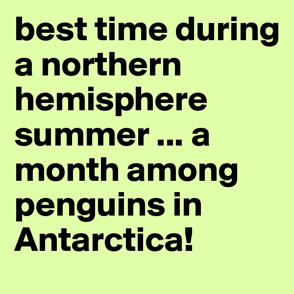 best time during a northern hemisphere summer ... a month among penguins in Antarctica!