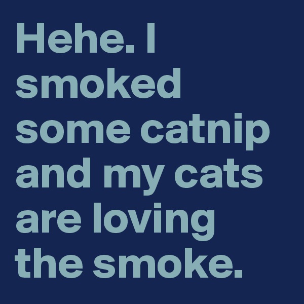 Hehe. I smoked some catnip and my cats are loving the smoke. 