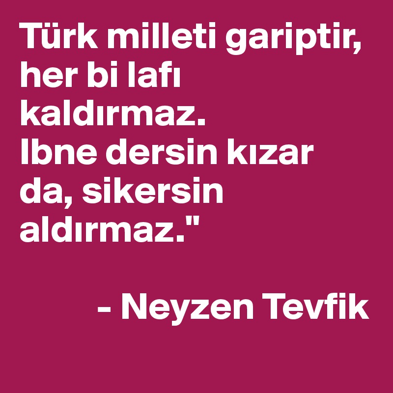 Türk milleti gariptir, her bi lafi kaldirmaz.
Ibne dersin kizar da, sikersin aldirmaz."

          - Neyzen Tevfik

